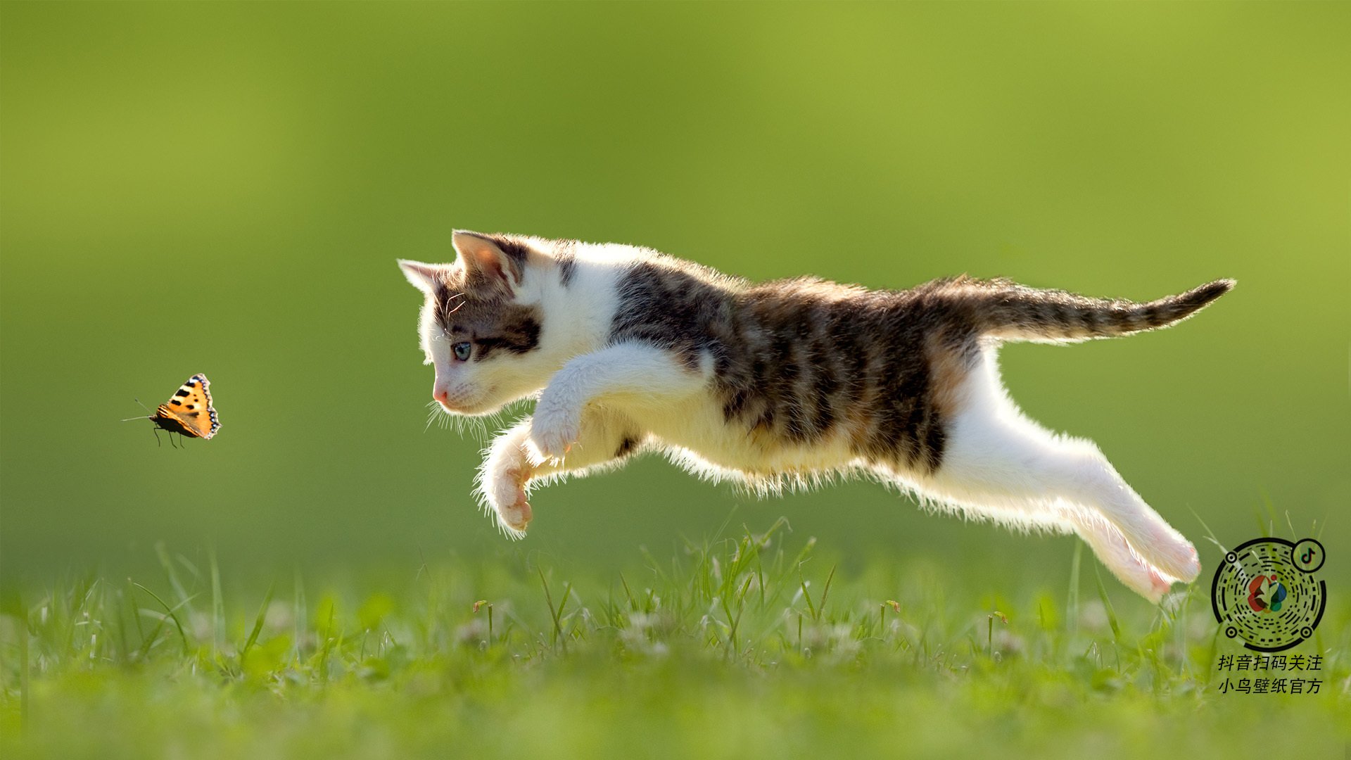 马刺前锋发起“每天一小时无手机训练”倡议，马刺前队员