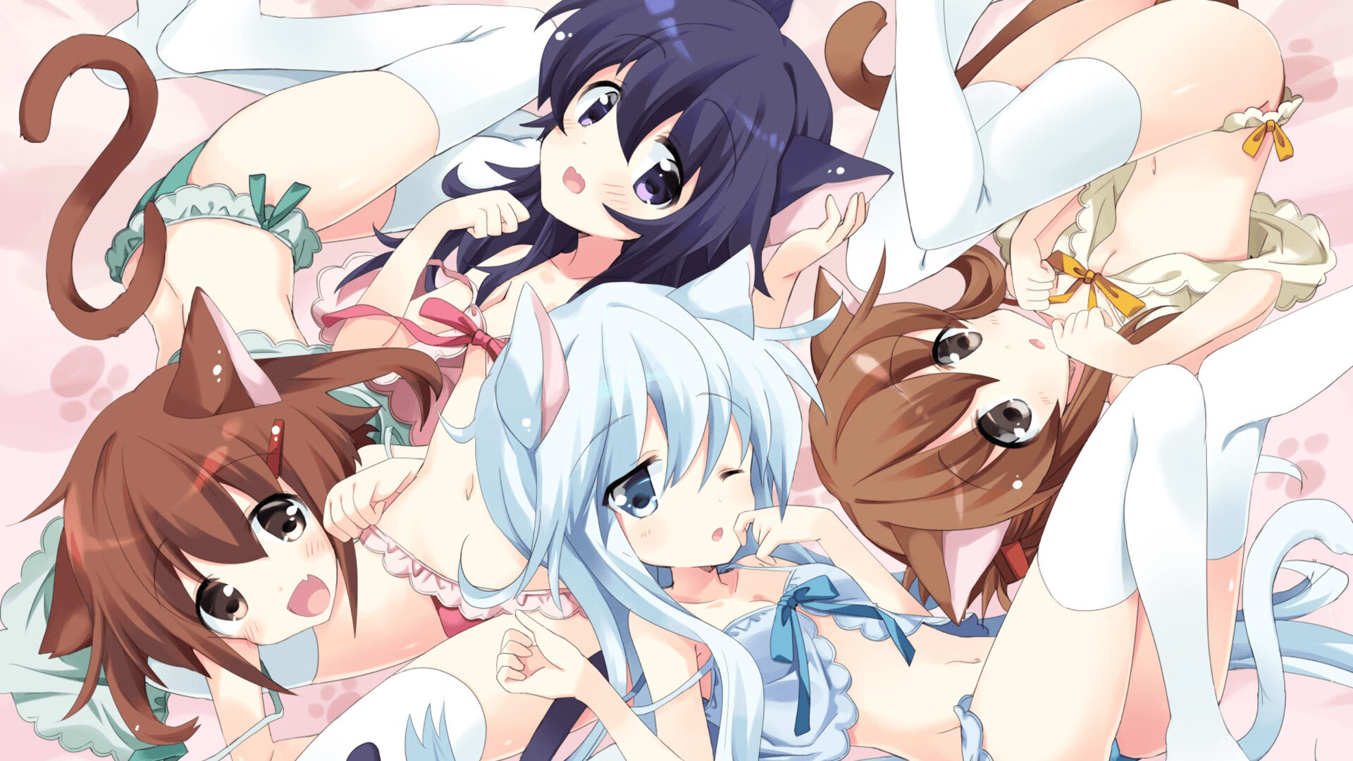 kaiyun开云·官方网站-爱尔兰女子橄榄球队迎来历史性突破，橄榄球爱尔兰和北爱尔兰