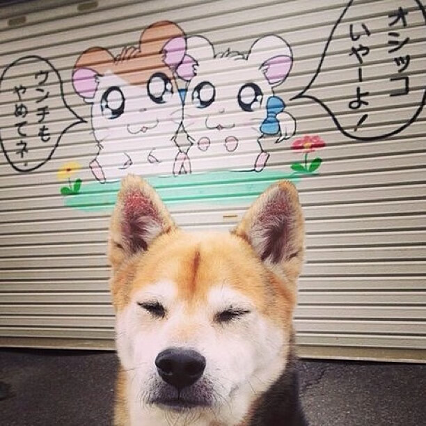 kaiyun体育app-英超最激烈的比拼：胜利的背后是无尽努力，英超全胜多少分